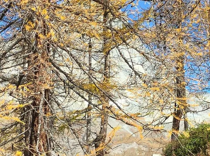 71 Con Vista Lägenhet